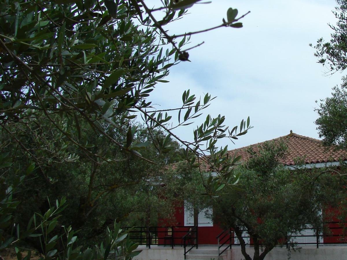 Zante View Holiday home Ambelokipoi (Zakynthos)